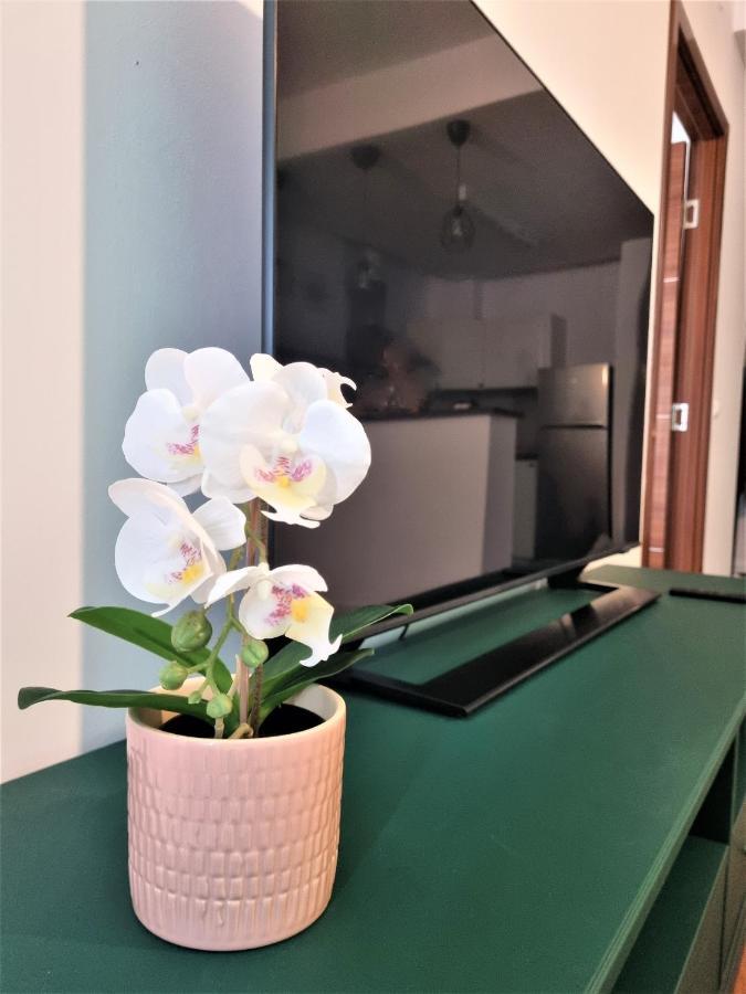 Summer Onix Mamaia Nord Apartament Năvodari Zewnętrze zdjęcie